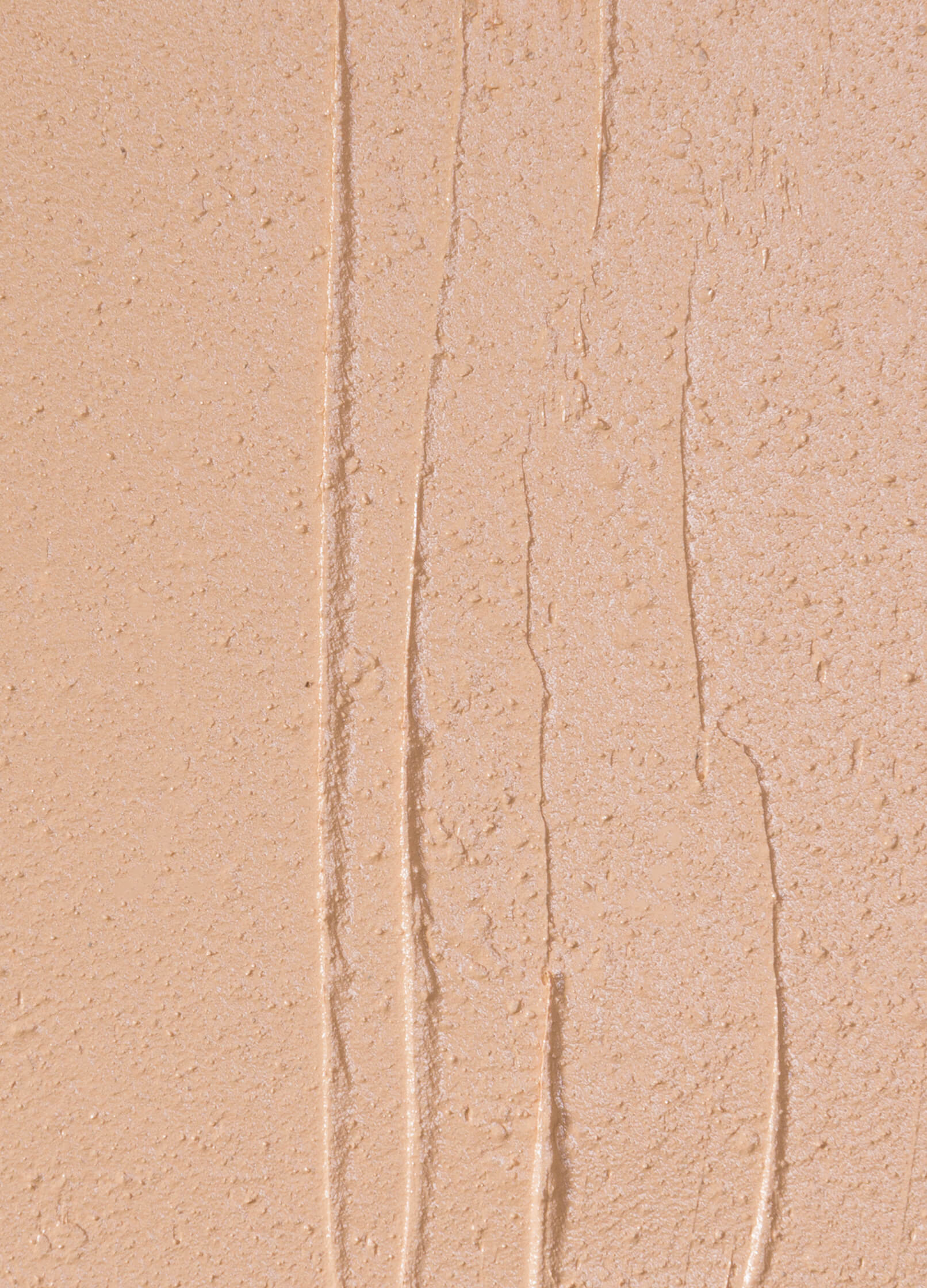 vegan cruelty free full coverage concealer creme concealer. #shade_CN2_|_Light_Neutral