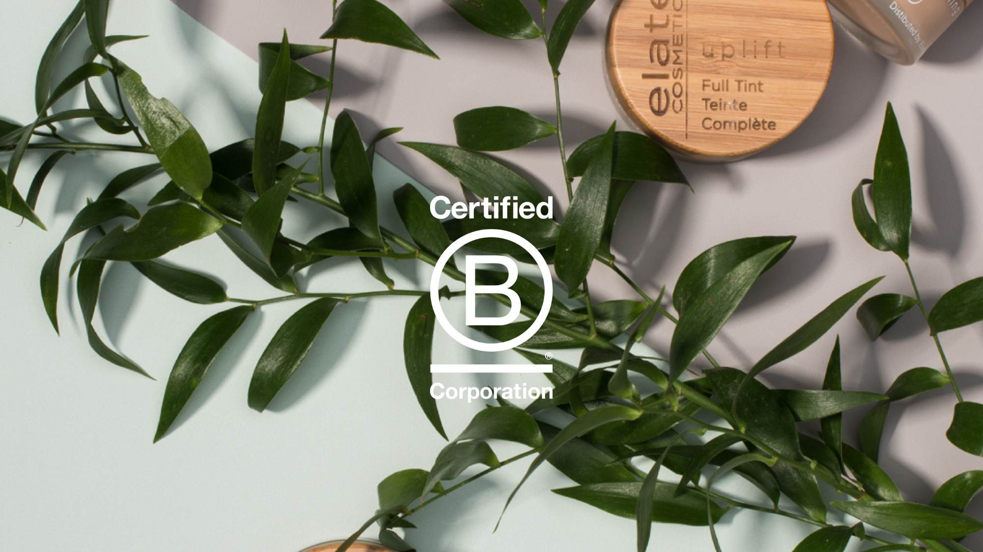 Elate is a B-Corporation!